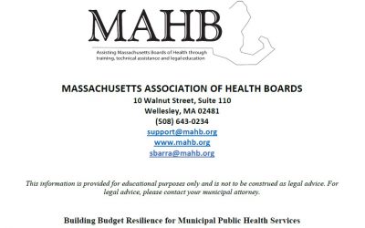 Building Budget Resilience for Municipal Public Health Services